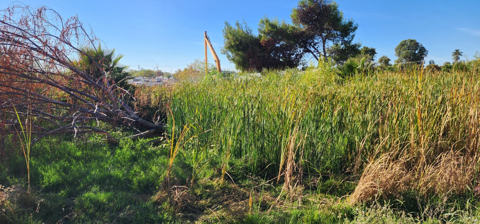 PHOTO-2026-02-11-16-50-45 6